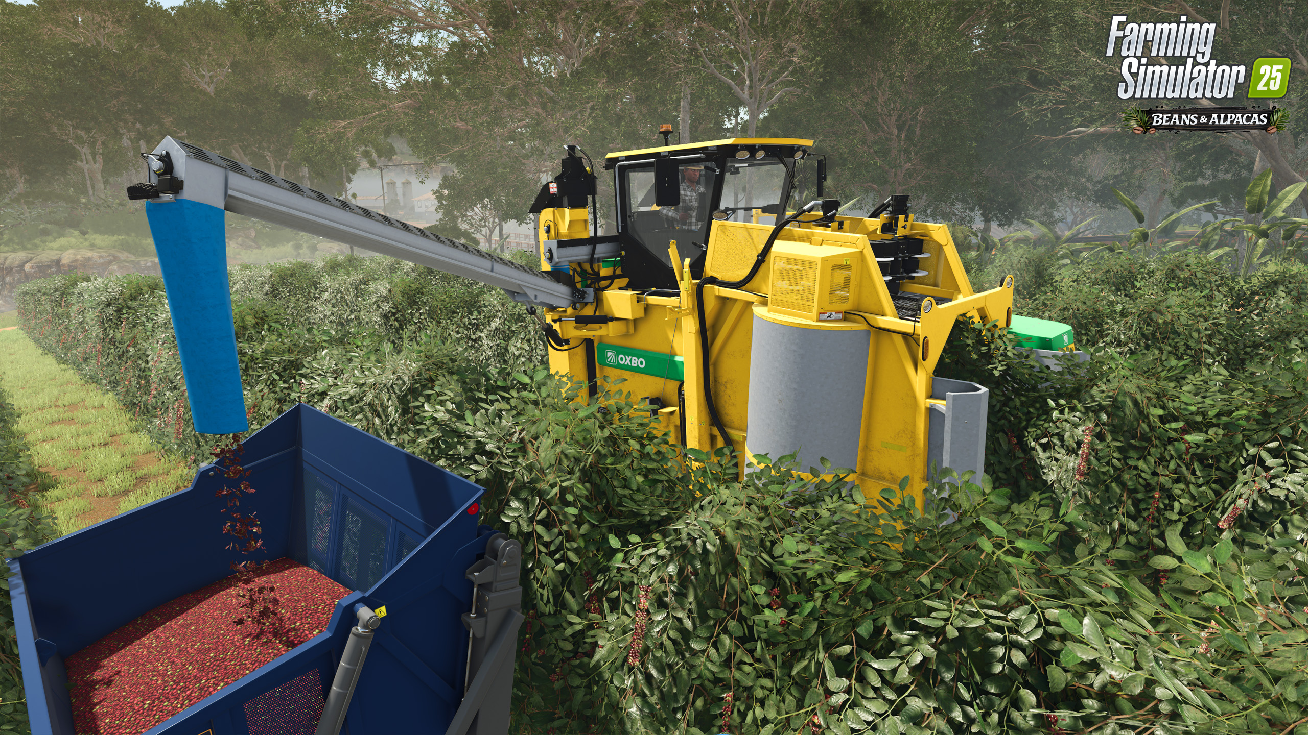 FS25BA-coffeeHarvest_en